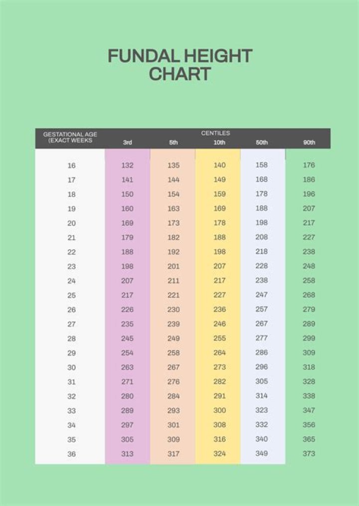 Wiki, Age, Height, And Beyond